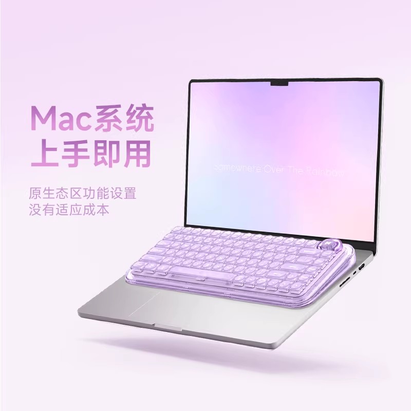 TTC Magnetic Switch, Tactile,  - Gaming Keyboard Hall Effect Switches review and price